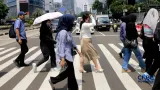 Perkembangan El Nino dan Musim Kemarau di Indonesia Serta Waktu Berakhirnya