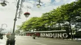 Cara Mengurus Izin Penebangan dan Pemangkasan Pohon di Kota Bandung agar Terhindar dari Denda