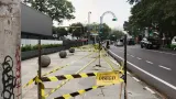 Aturan dan Denda Penebangan Pohon Sembarangan di Kota Bandung